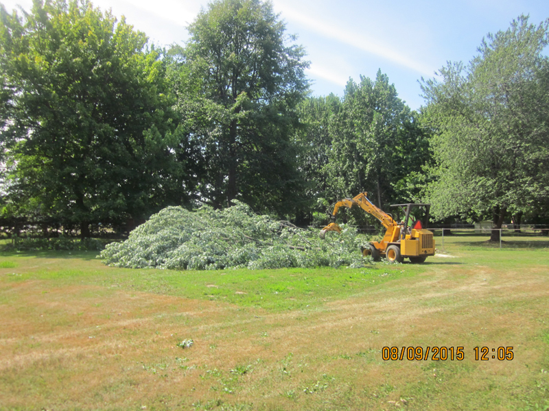 Land clearing company